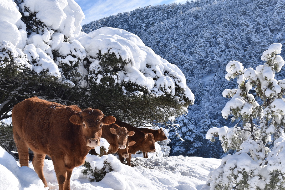 UNADJUSTEDNONRAW_thumb_df0