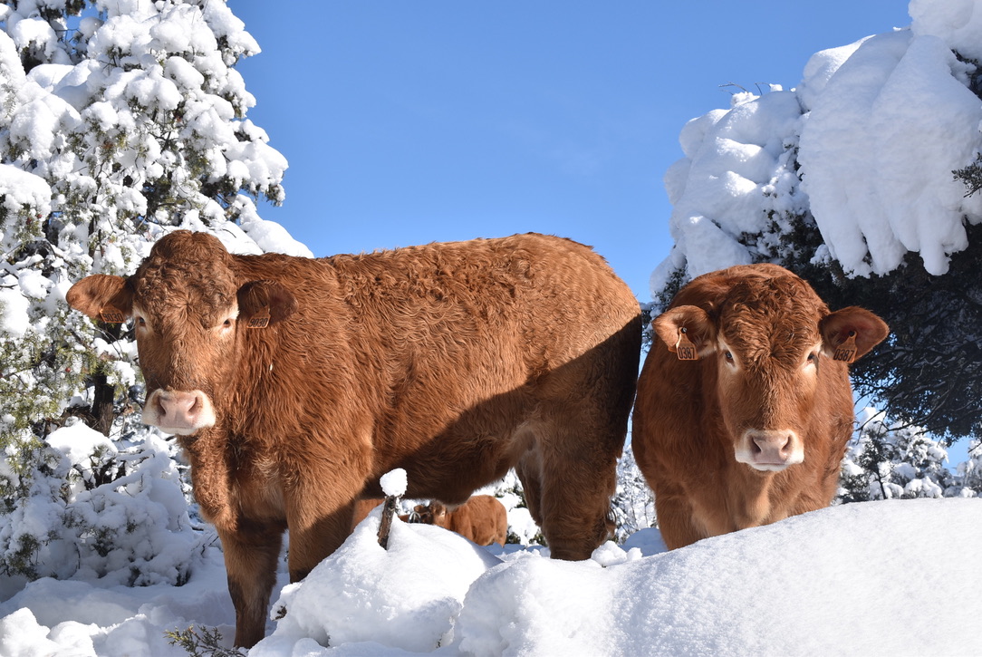 UNADJUSTEDNONRAW_thumb_df7